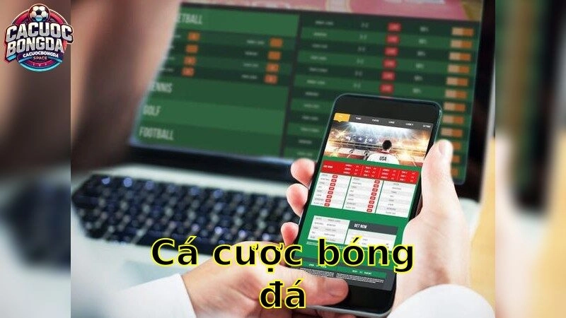 baiakchaos.online