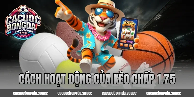 Cách hoạt động của kèo chấp 1.75