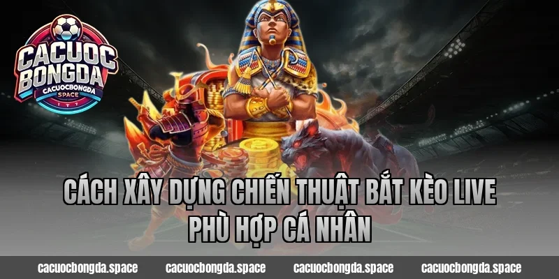 Cách xây dựng chiến thuật bắt kèo live phù hợp cá nhân