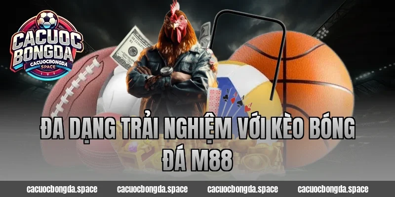 Đa Dạng Trải Nghiệm Với Kèo Bóng Đá M88
