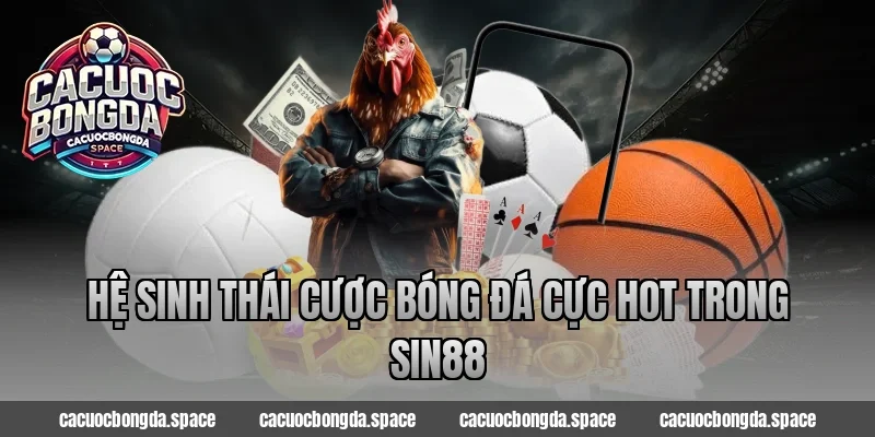 Hệ sinh thái cược bóng đá cực HOT trong Sin88