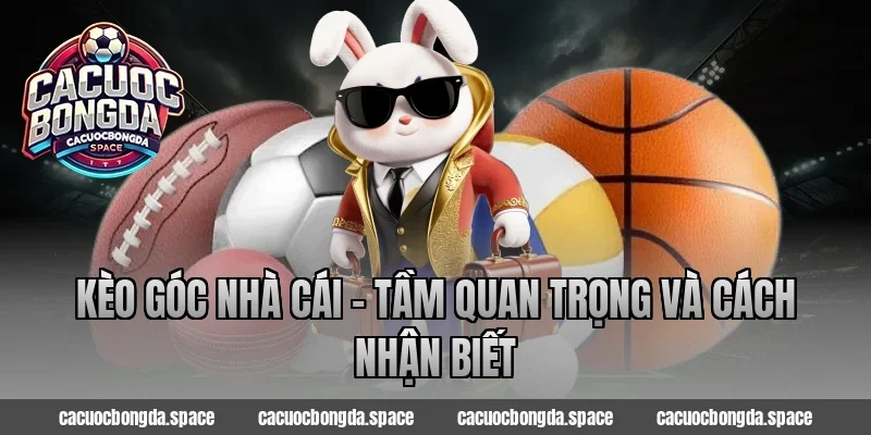Kèo góc nhà cái – Tầm quan trọng và cách nhận biết