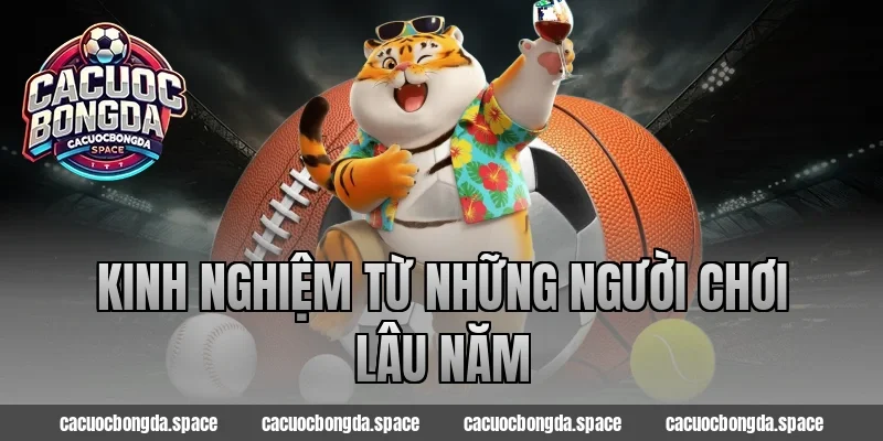 Kinh Nghiệm Từ Những Người Chơi Lâu Năm