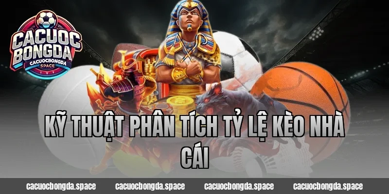 Kỹ thuật phân tích tỷ lệ kèo nhà cái