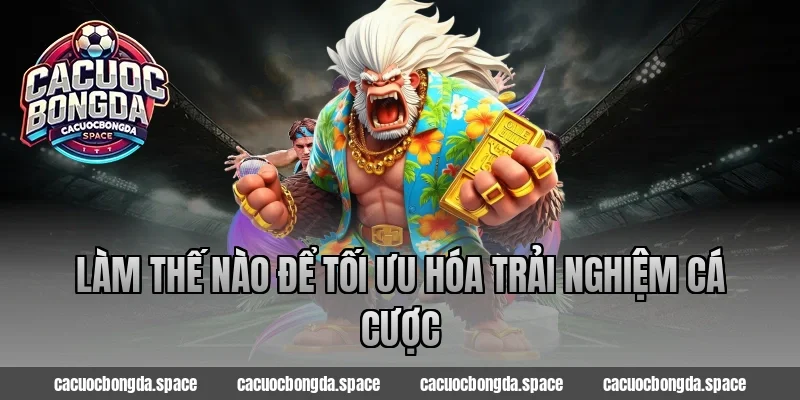 Làm thế nào để tối ưu hóa trải nghiệm cá cược