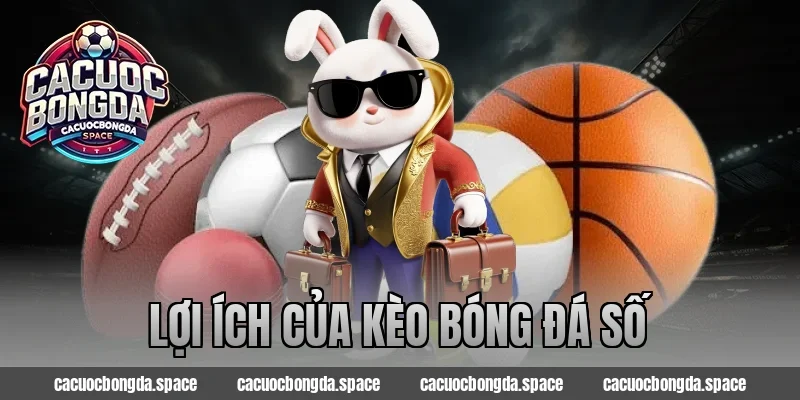 Lợi ích của kèo bóng đá số
