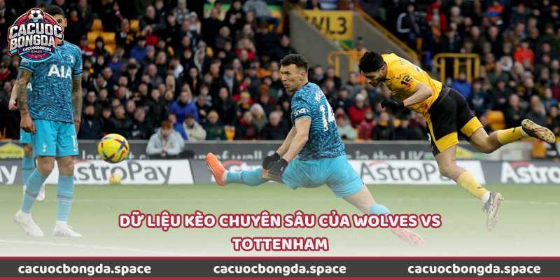 Dữ liệu kèo chuyên sâu của Wolves vs Tottenham
