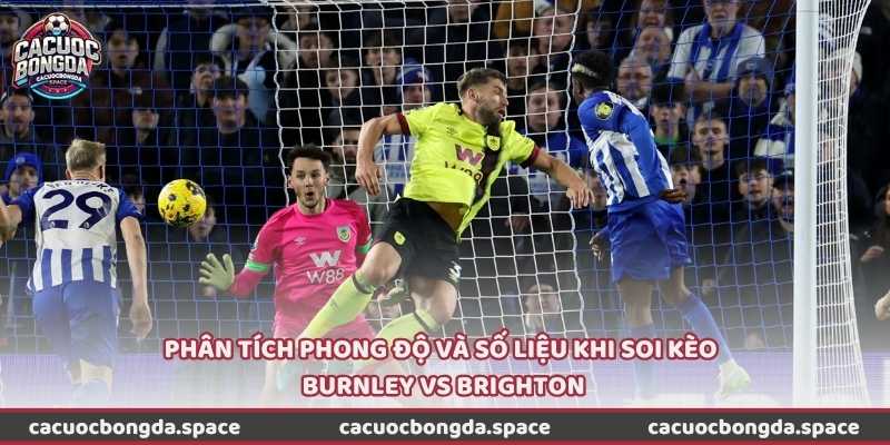 Phân tích phong độ và số liệu khi soi kèo Burnley vs Brighton