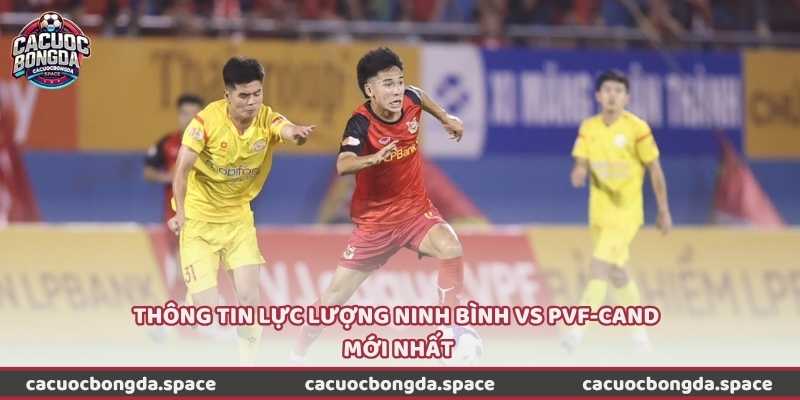 Thông tin lực lượng Ninh Bình vs PVF-CAND mới nhất